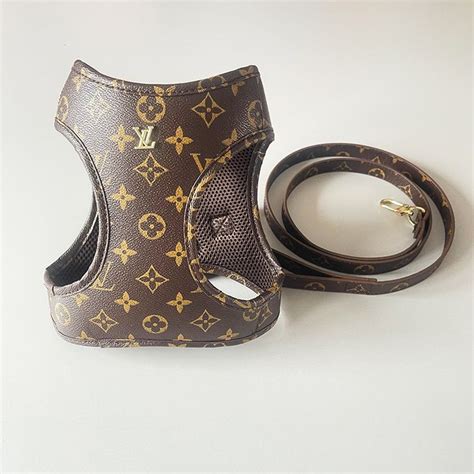 louis vuitton harness|louis vuitton collar and leash.